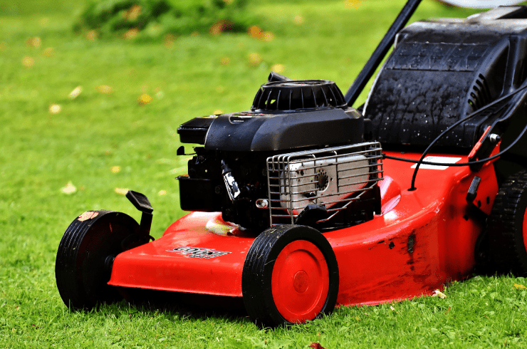 Carter's Tree Removal, Pressure Washing, Lawn Care, Landscaping, and More 