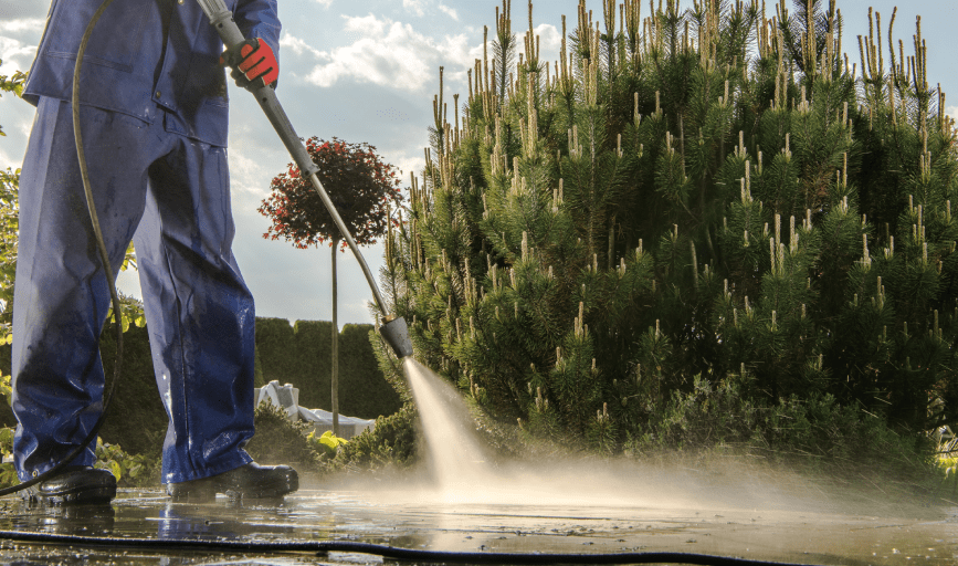Carter's Tree Removal, Pressure Washing, Lawn Care, Landscaping, and More 