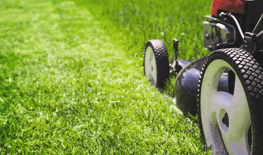 Carter's Tree Removal, Pressure Washing, Lawn Care, Landscaping, and More 